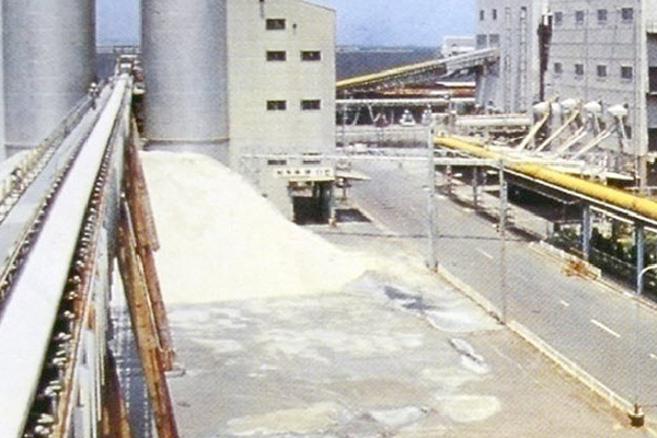 帶(dai)式輸送(song)機